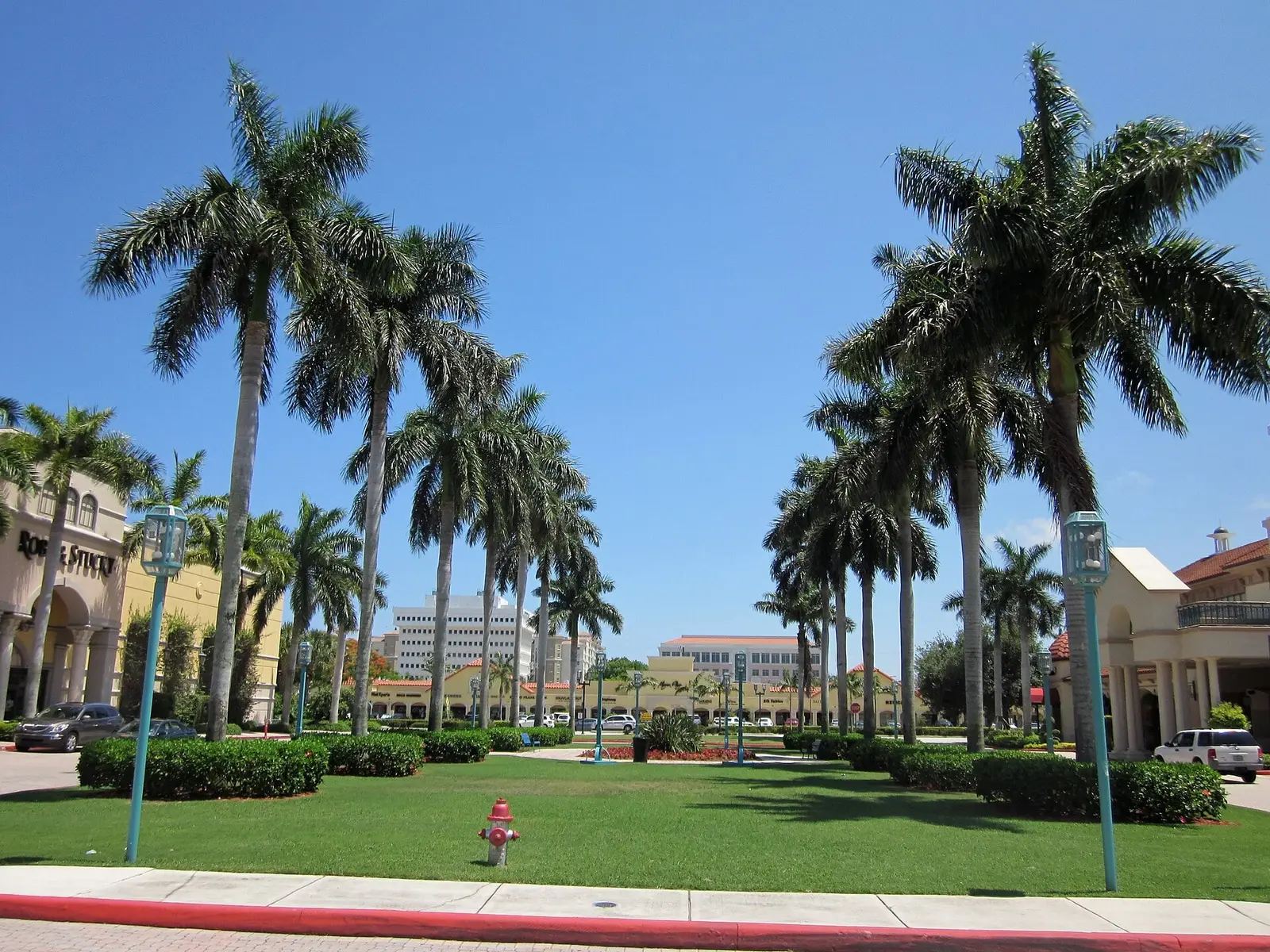 Rows of royal palms along the lawn at Mizner Park in downtown Boca Raton, FL